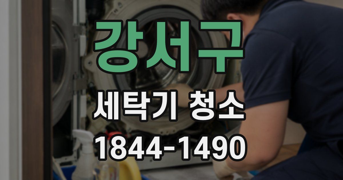 강서구 세탁기 청소