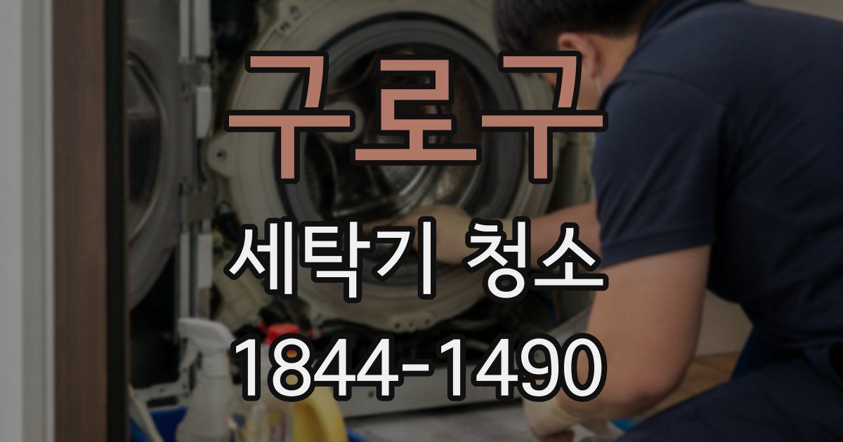 구로구 세탁기 청소
