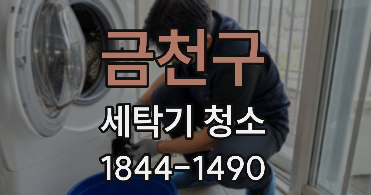 금천구 세탁기 청소