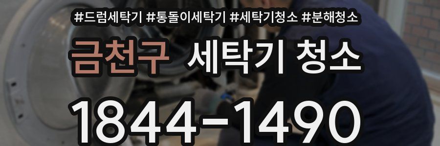 금천구 세탁기 청소