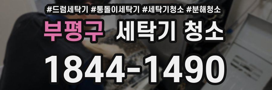 부평구 세탁기 청소