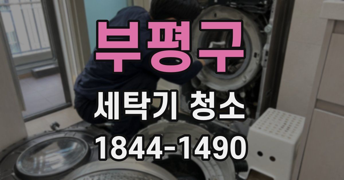 부평구 세탁기 청소