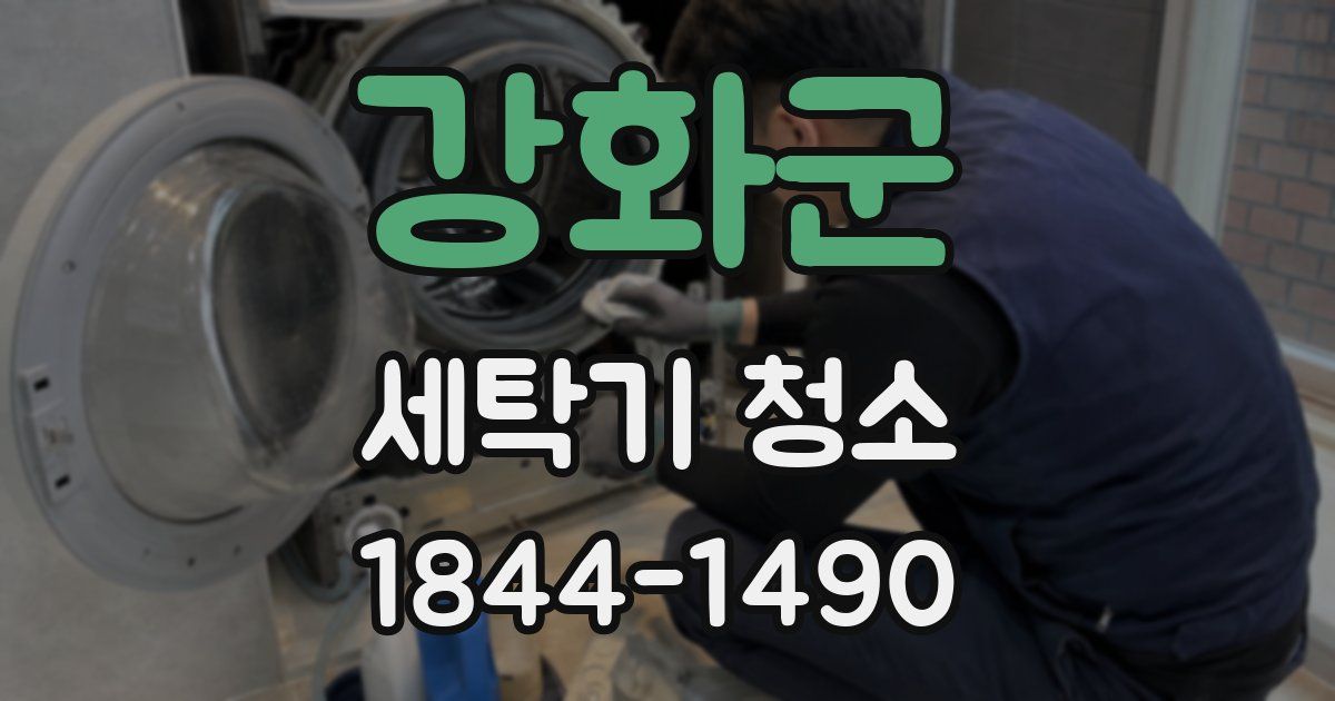 강화군 세탁기 청소