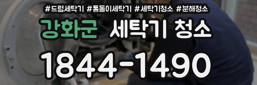 강화군 세탁기 청소