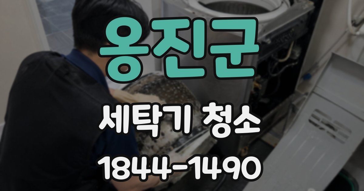 옹진군 세탁기 청소
