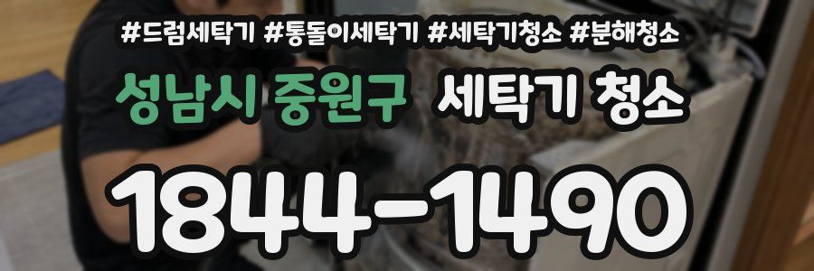 성남시 중원구 세탁기 청소