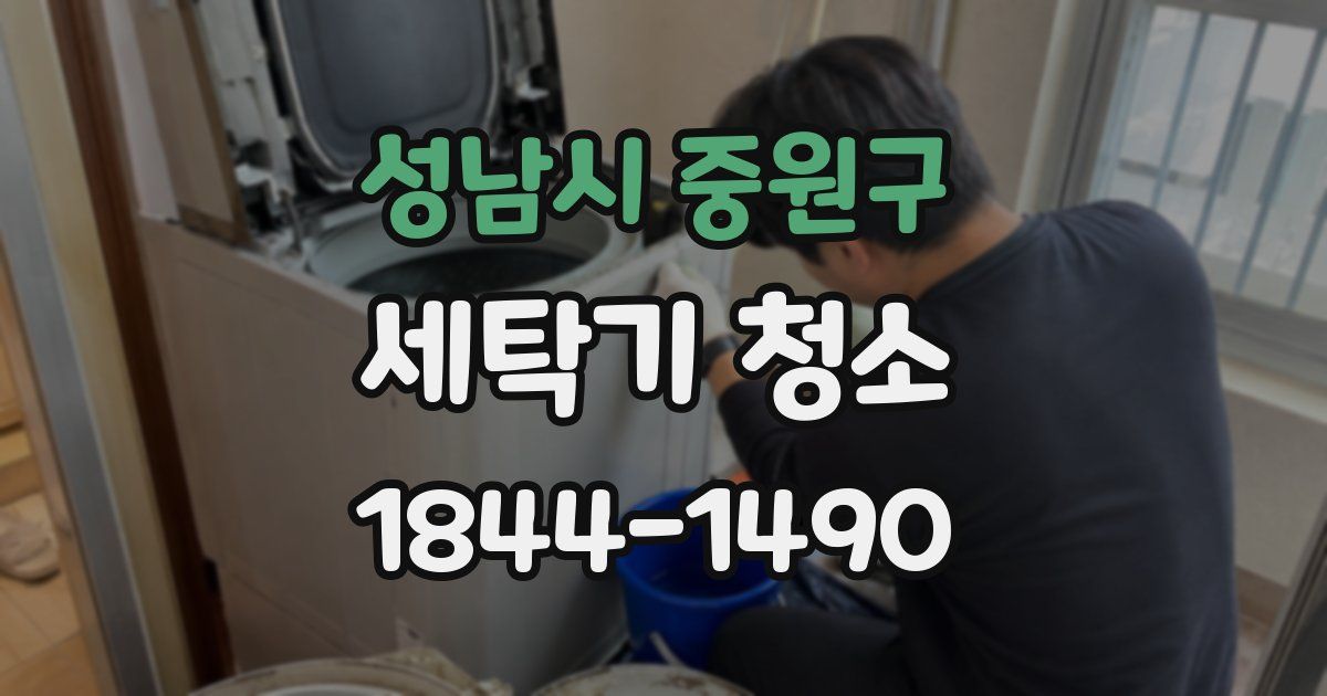 성남시 중원구 세탁기 청소