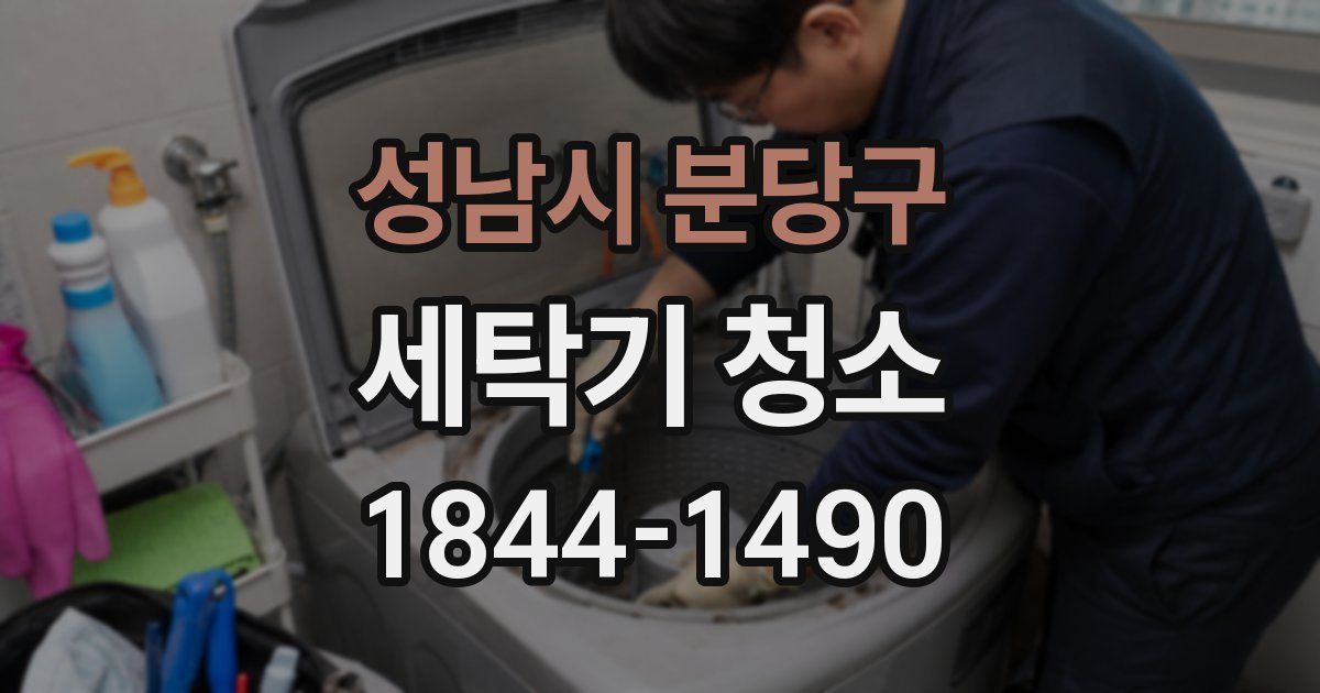 성남시 분당구 세탁기 청소