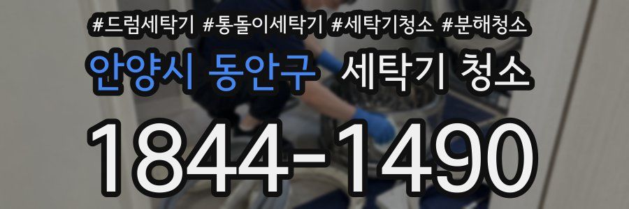 안양시 동안구 세탁기 청소