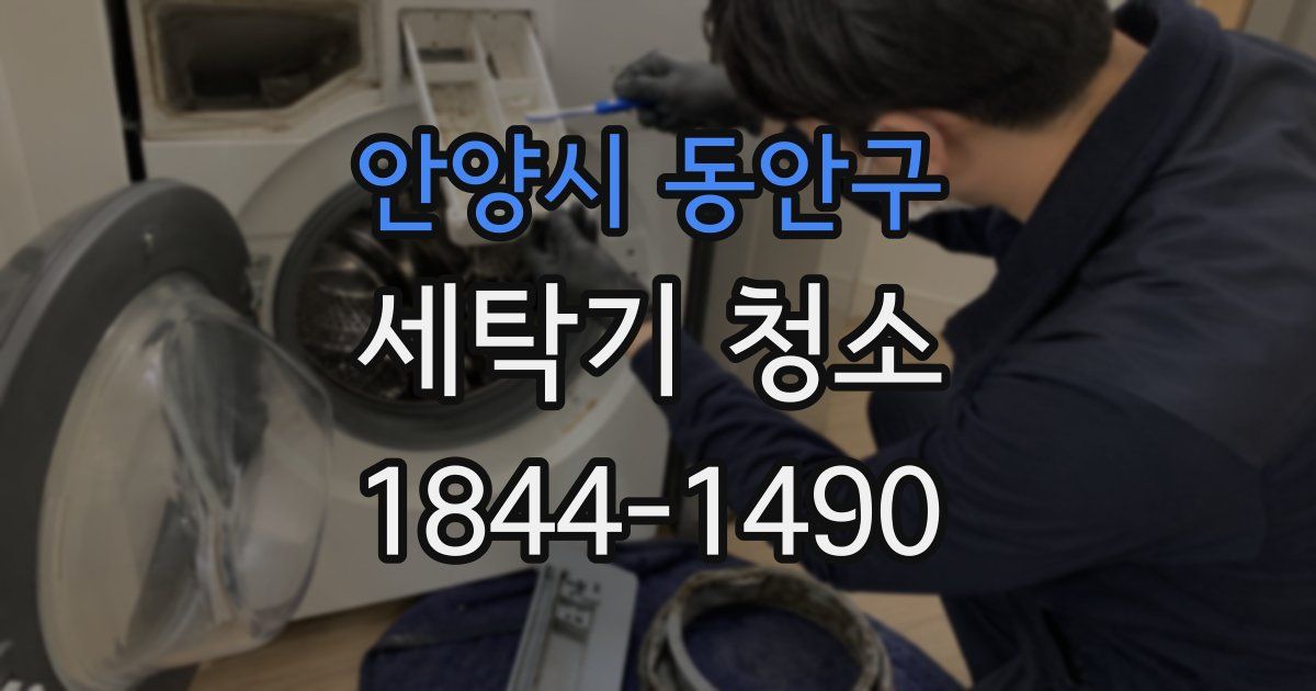 안양시 동안구 세탁기 청소