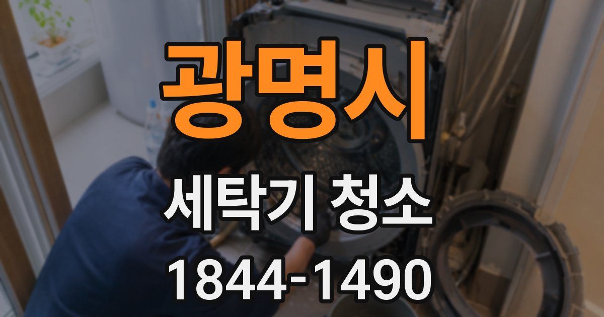 광명시 세탁기 청소