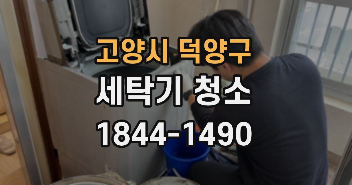 고양시 덕양구 세탁기 청소