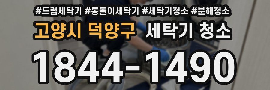 고양시 덕양구 세탁기 청소