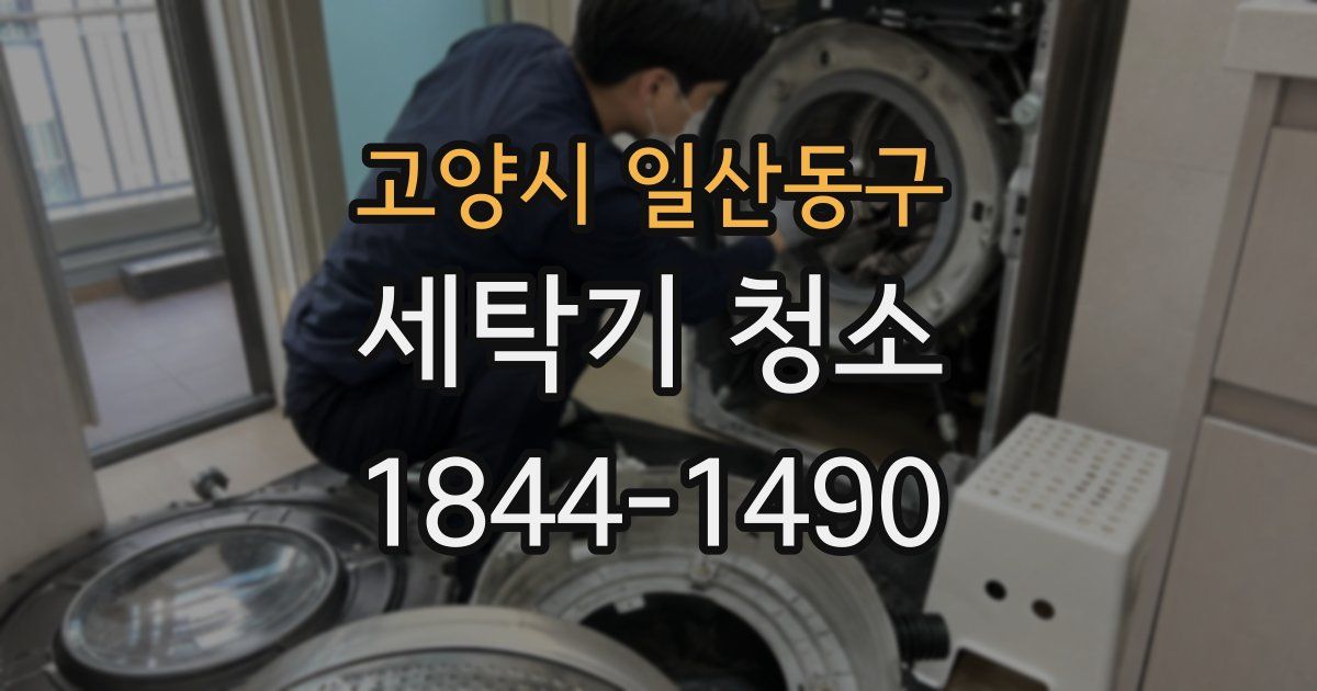 고양시 일산동구 세탁기 청소