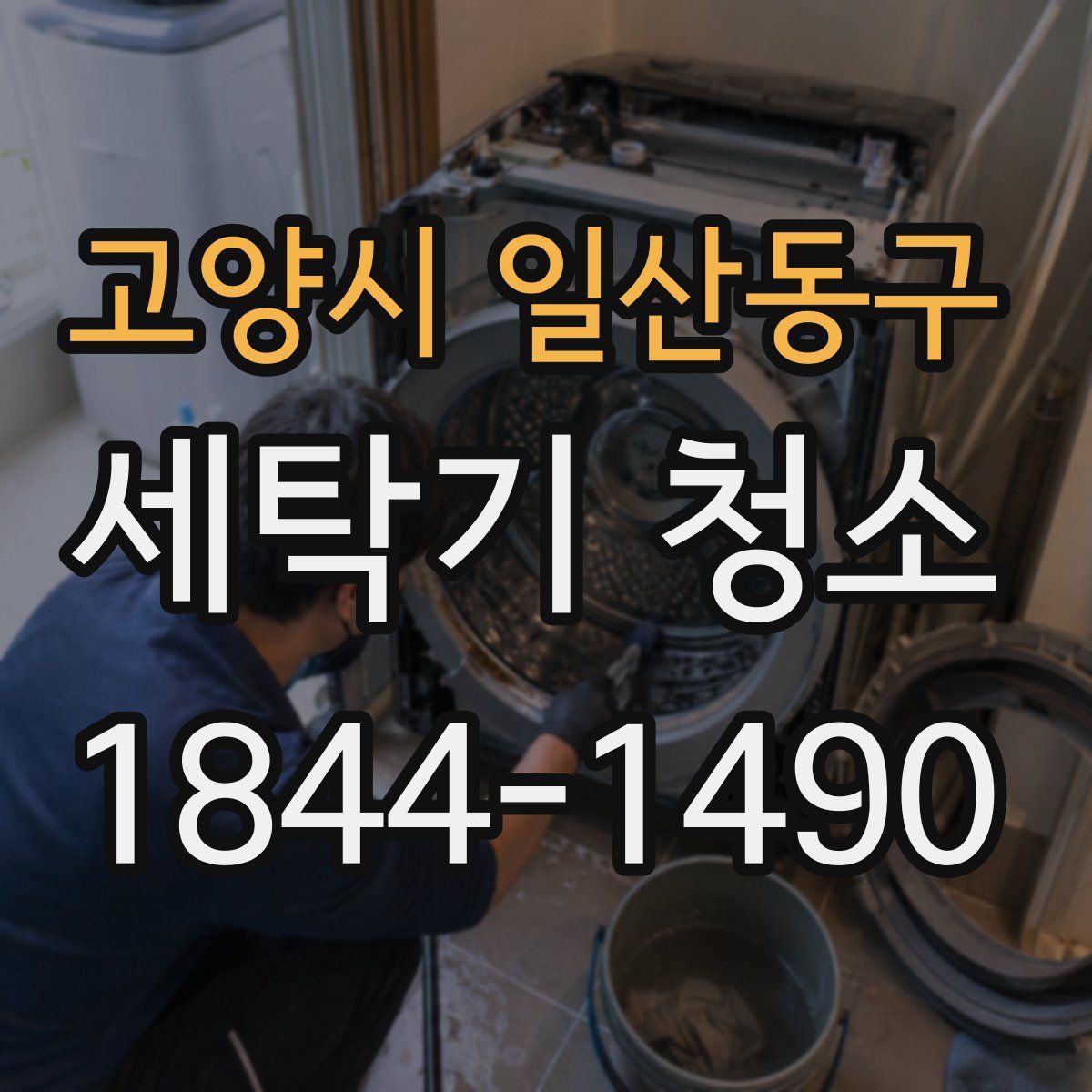 고양시 일산동구 세탁기 청소