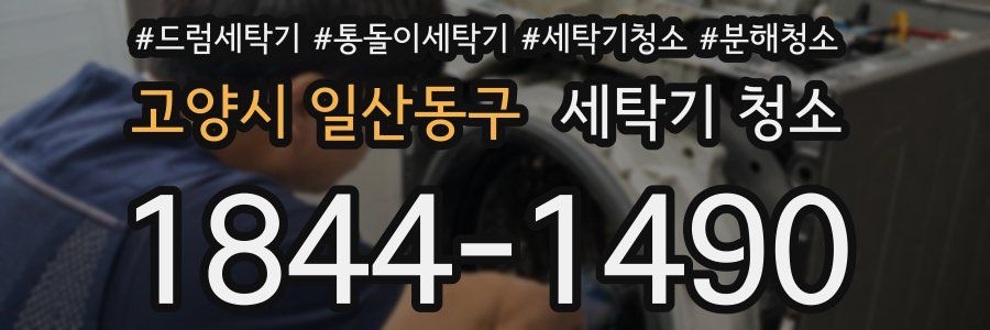 고양시 일산동구 세탁기 청소
