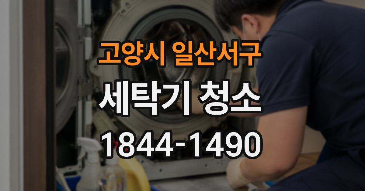 고양시 일산서구 세탁기 청소