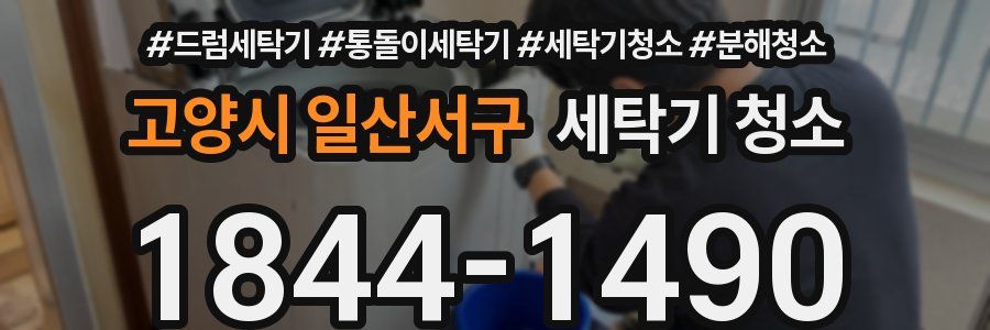 고양시 일산서구 세탁기 청소