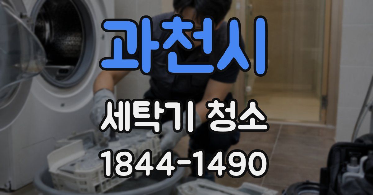 과천시 세탁기 청소