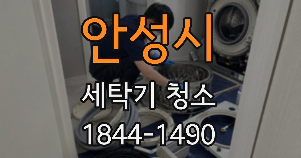 안성시 세탁기 청소