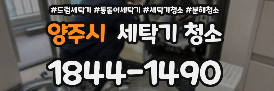 양주시 세탁기 청소