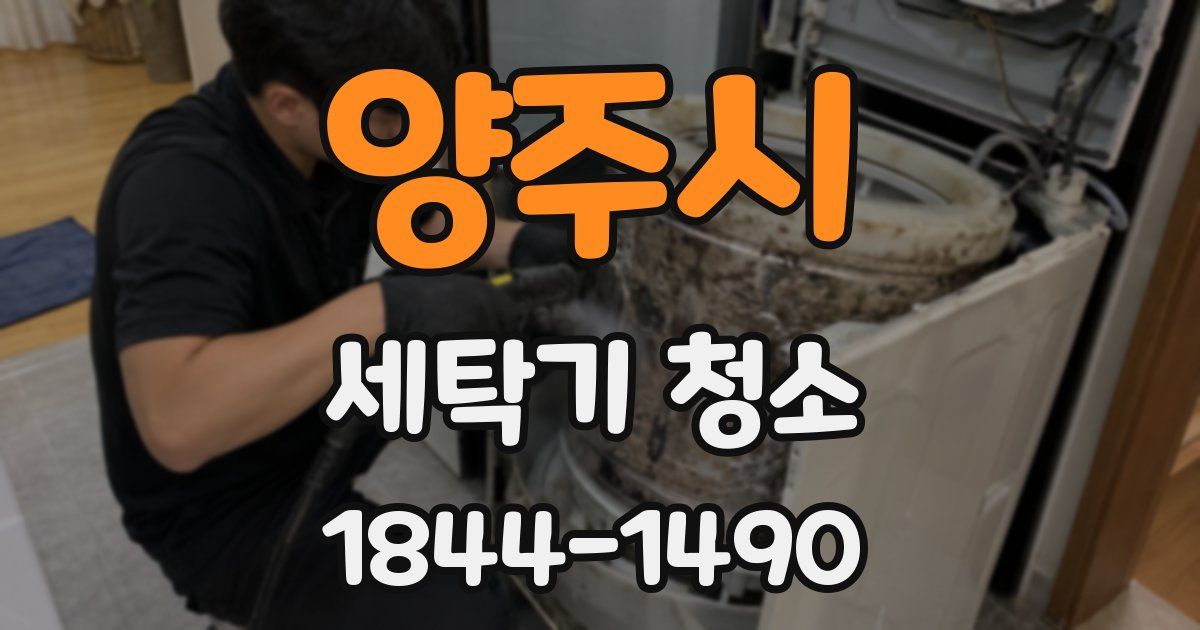 양주시 세탁기 청소