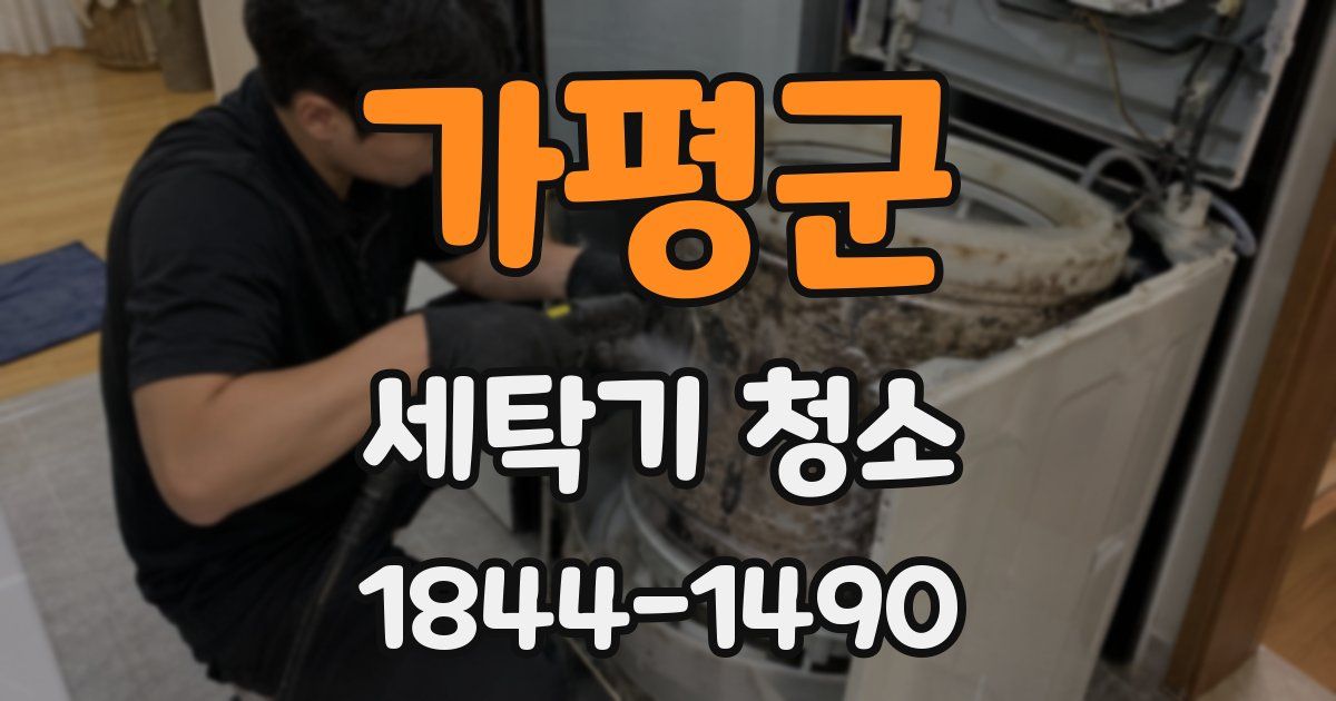 가평군 세탁기 청소
