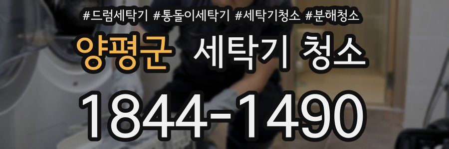 양평군 세탁기 청소