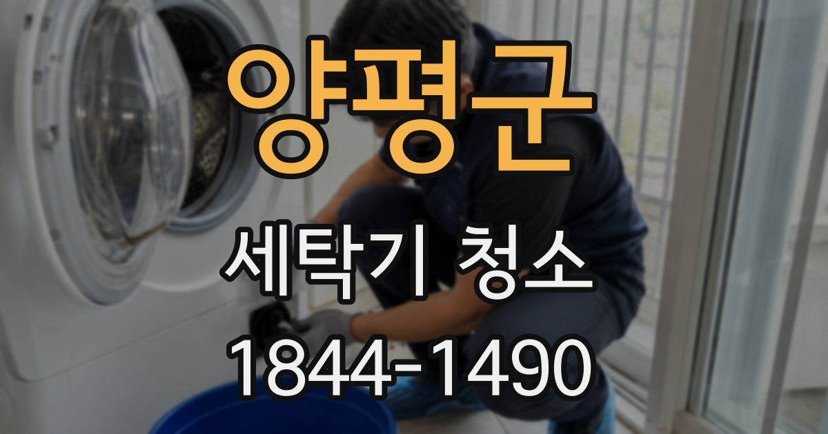 양평군 세탁기 청소