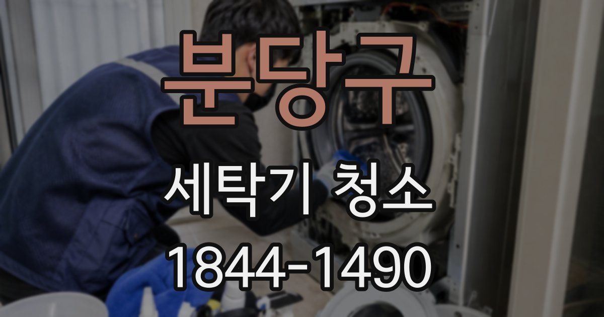 분당구 세탁기 청소