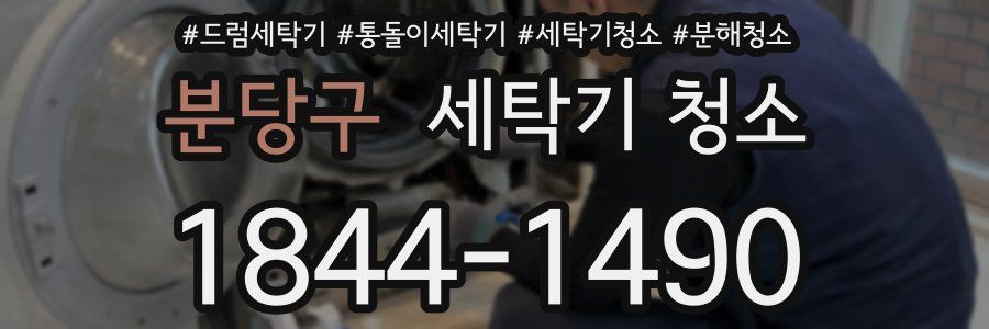 분당구 세탁기 청소