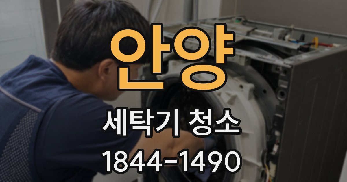 안양 세탁기 청소