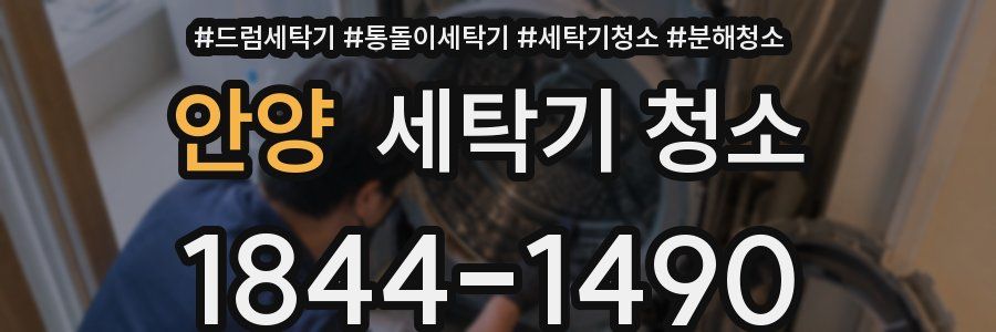 안양 세탁기 청소