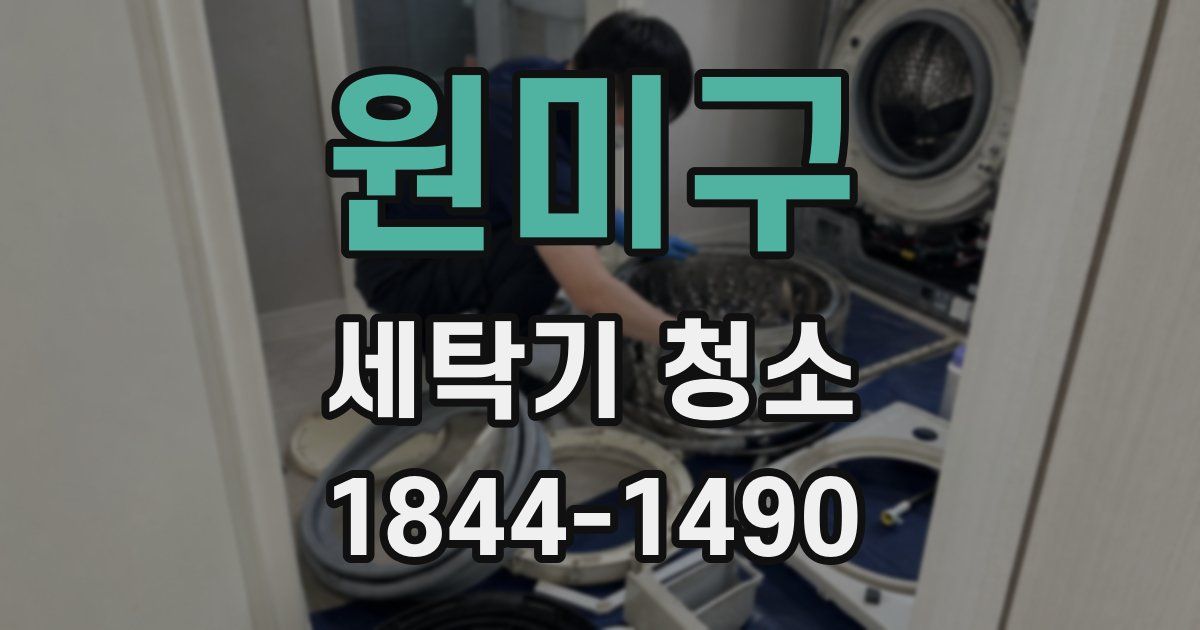 원미구 세탁기 청소