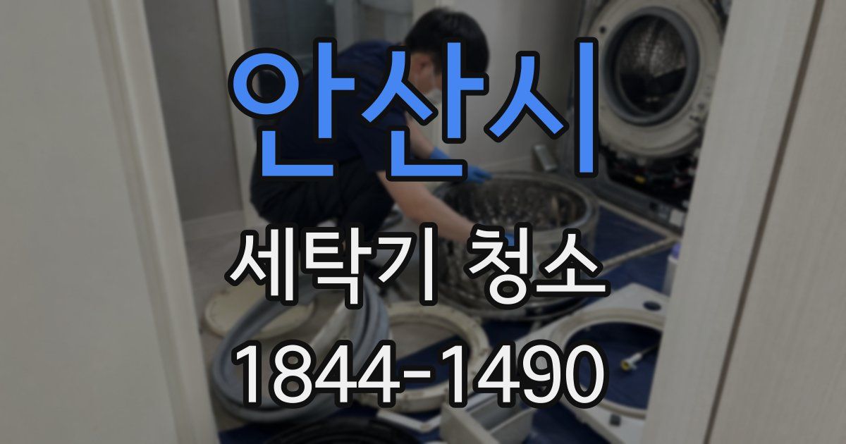 안산시 세탁기 청소