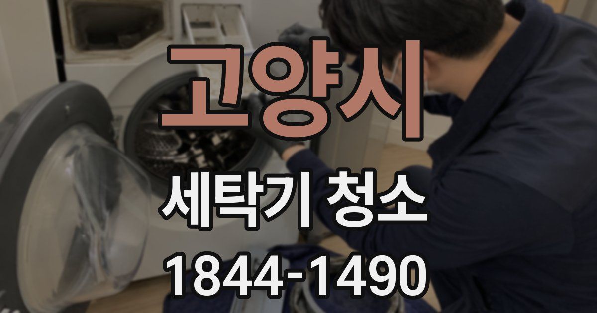 고양시 세탁기 청소