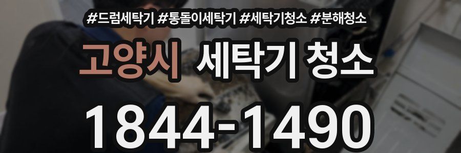고양시 세탁기 청소