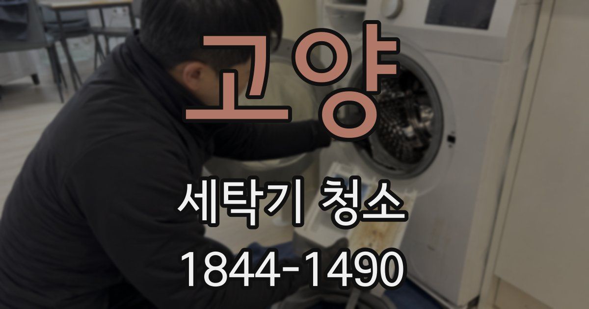 고양 세탁기 청소