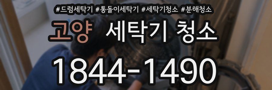 고양 세탁기 청소