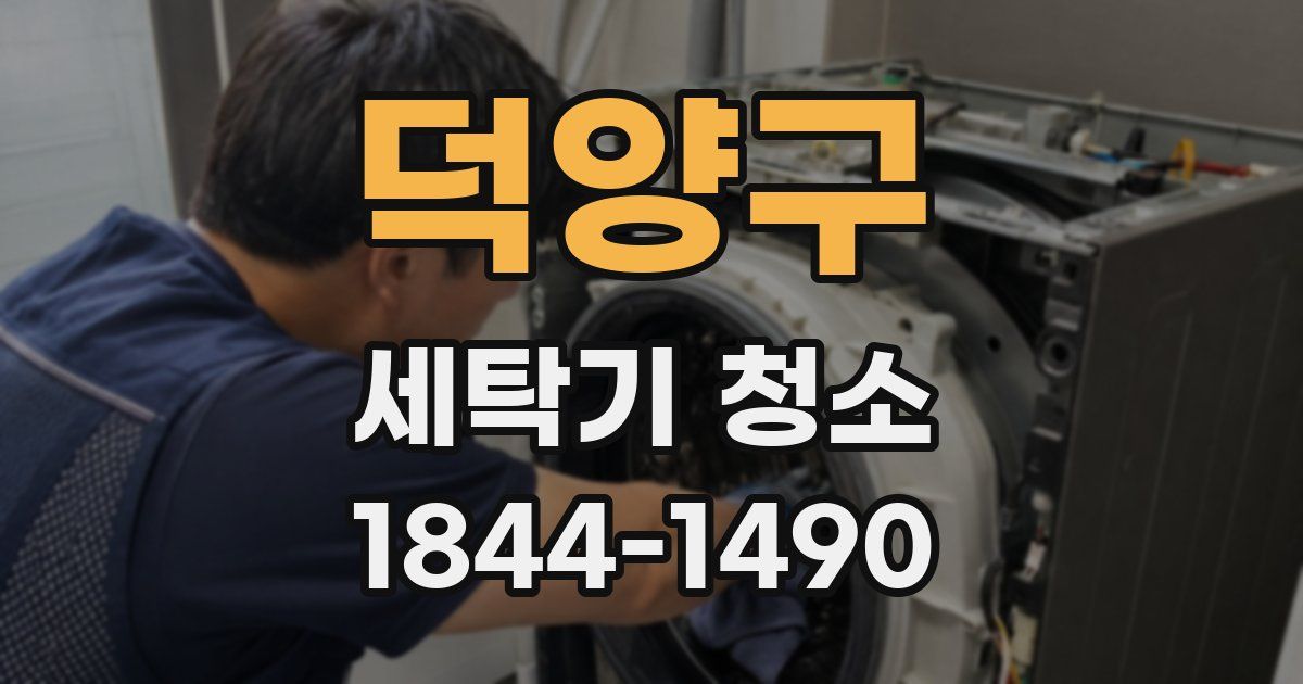 덕양구 세탁기 청소