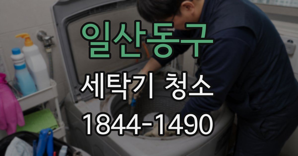 일산동구 세탁기 청소
