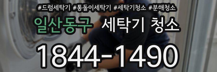 일산동구 세탁기 청소