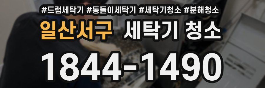 일산서구 세탁기 청소