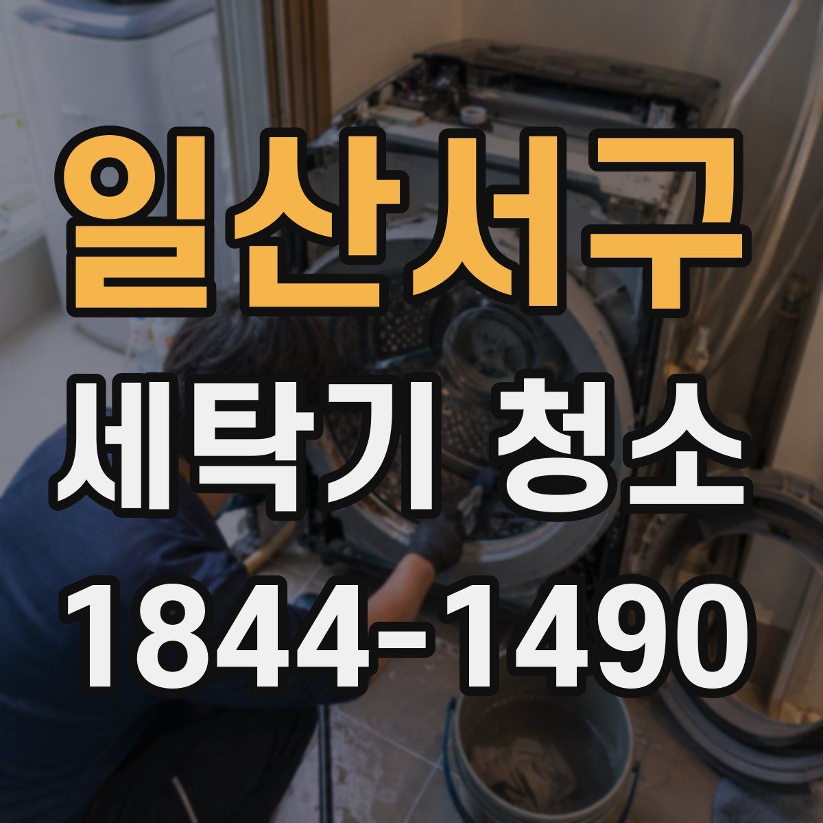 일산서구 세탁기 청소