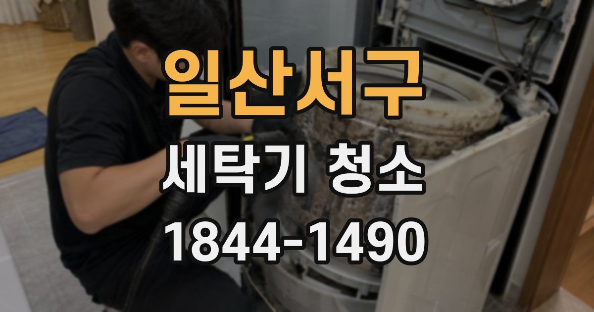 일산서구 세탁기 청소