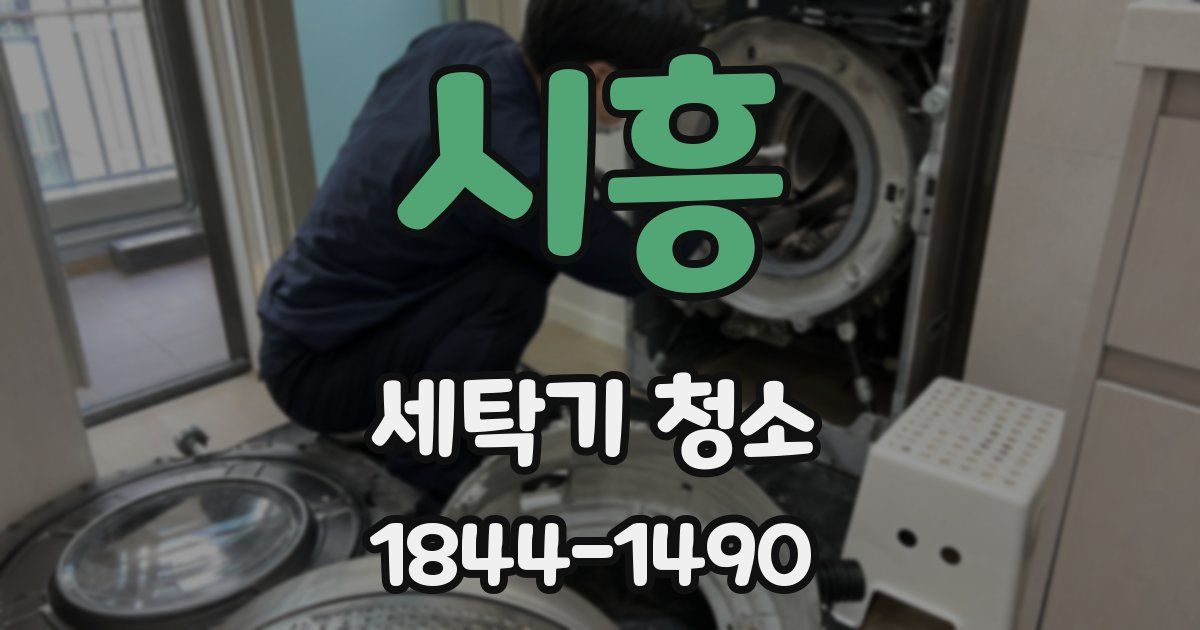 시흥 세탁기 청소