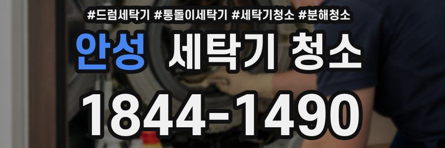 안성 세탁기 청소
