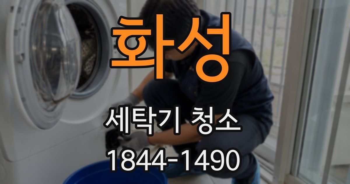 화성 세탁기 청소