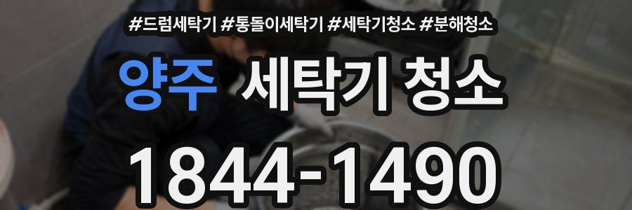 양주 세탁기 청소