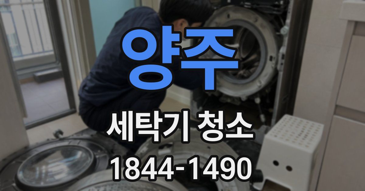 양주 세탁기 청소